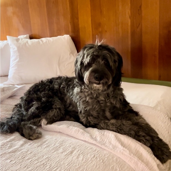 Meet your Posher, Renée - Picture 8 of 9